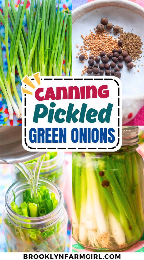 Pickled Green Onions Recipe Trial: Good Flavor, Tough Texture